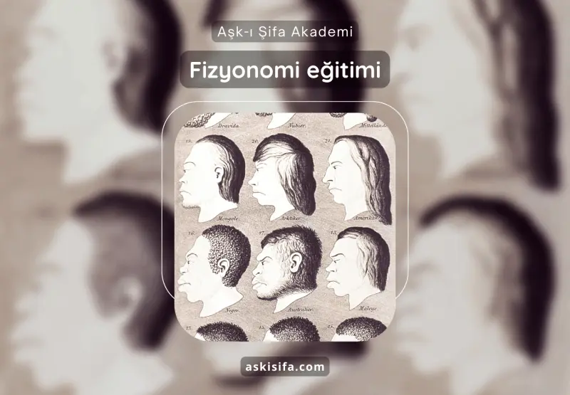Fizyonomi eğitimi
